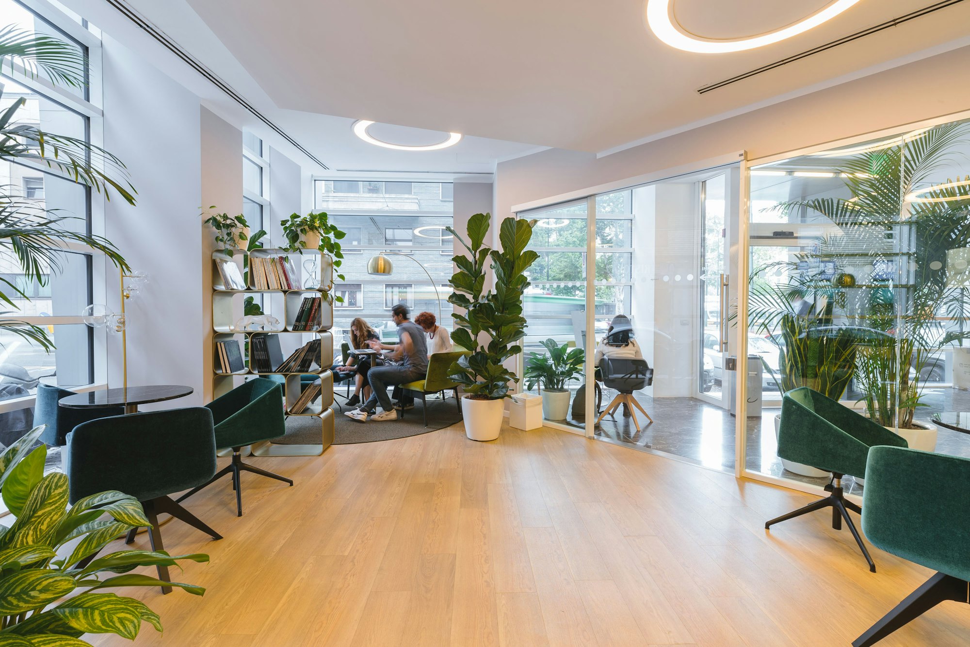 Bright open workspace with wooden floor, plants, armchairs and people working at a table by tall windows
